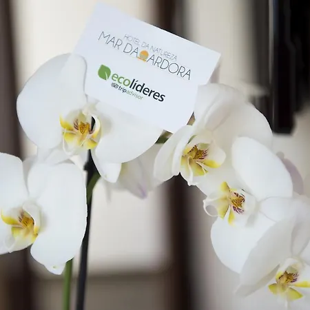 Naturaleza Mar Da Ardora Wellness & ホテル