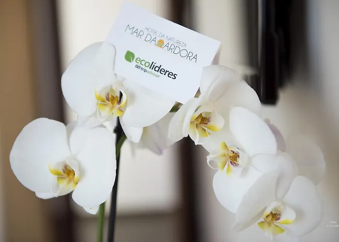 Naturaleza Mar Da Ardora Wellness & Ξενοδοχείο
